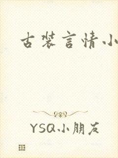 古装言情小说封面