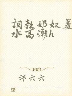 调教奶奴羞辱喷水高潮h