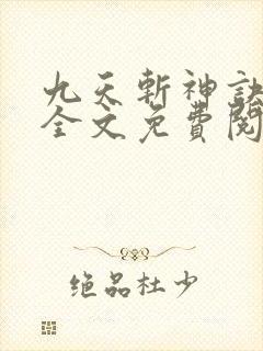 九天斩神诀林辰全文免费阅读大结局封面