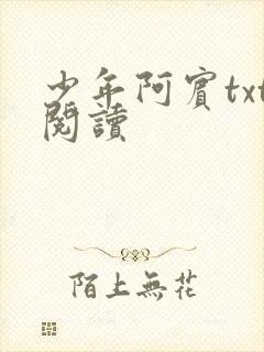 少年阿宾txt阅读