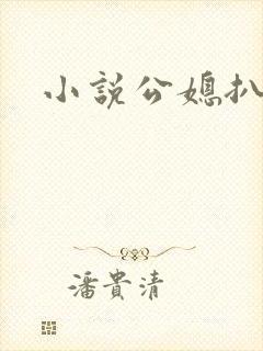 小说公媳扒灰封面