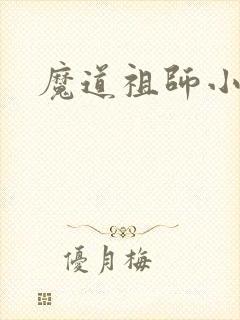 魔道祖师小说封面