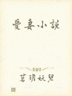 爱妻小说