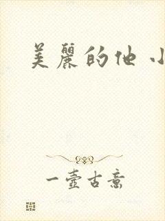 美丽的他 小说
