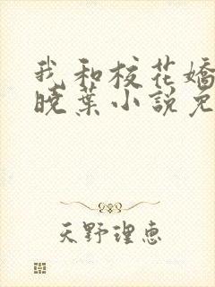 我和校花娇妻秦晓叶小说免费阅读