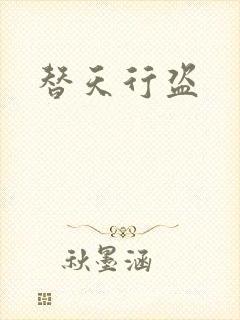 替天行盗