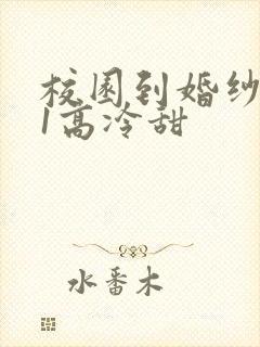 校园到婚纱1V1高冷甜