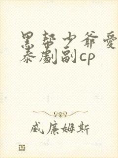 黑帮少爷爱上我泰剧副cp