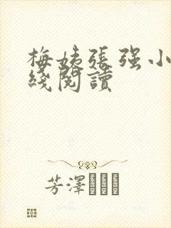 梅姨张强小说在线阅读封面