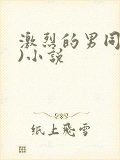 激烈的男同(h)小说