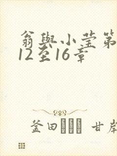 翁与小莹第十部12至16章