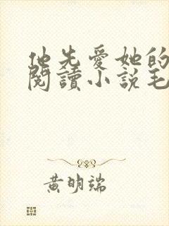 他先爱她的全文阅读小说毛吉