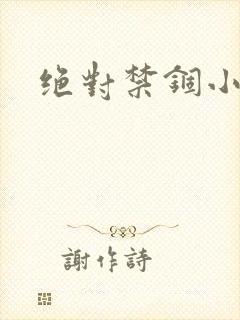 绝对禁锢小说