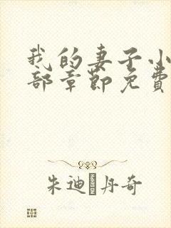 我的妻子小静全部章节免费阅读