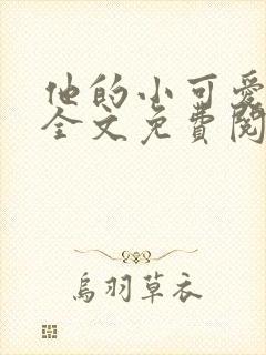 他的小可爱小说全文免费阅读