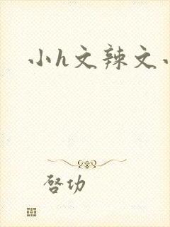 小h文辣文小说