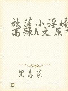 放荡小淫妇h文高辣h文原神