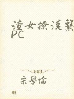 渣女撩汉系统NPC