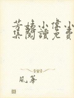 芳姨小伟小说全集阅读免费