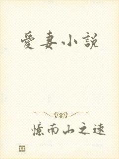 爱妻小说
