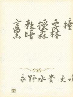 言教授要撞坏了黑暗森林