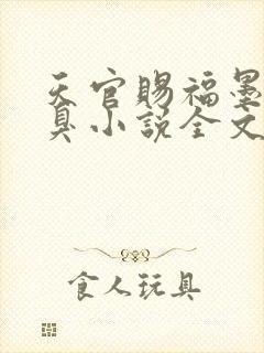 天官赐福墨香铜臭小说全文阅