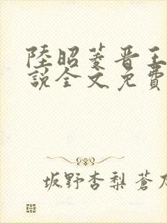 陆昭菱晋王的小说全文免费阅读