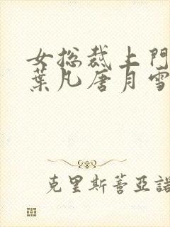 女总裁上门女婿叶凡唐月雪免费阅读全文