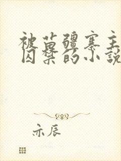 被苗疆寨主抓住囚禁的小说女主