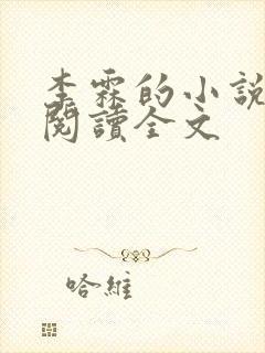 李霖的小说免费阅读全文