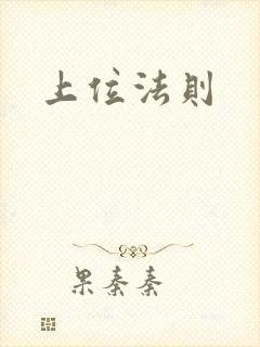 上位法则