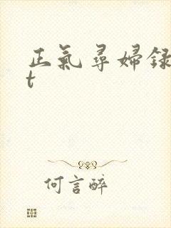 正气寻妇录txt