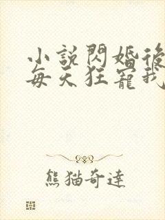 小说闪婚后大叔每天狂宠我免费阅读