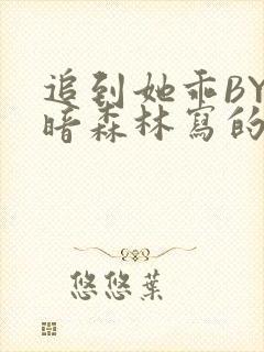 追到她乖BY黑暗森林写的小说