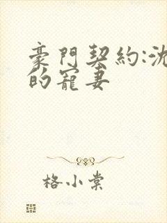 豪门契约:沈爷的宠妻