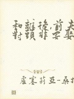 和离后,前夫死对头非要娶封面