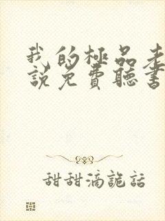 我的极品老婆小说免费听书封面