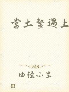 当土鳖遇上海龟