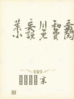 叶妄川和乔念的小说免费阅读