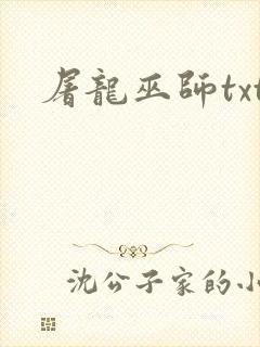 屠龙巫师txt