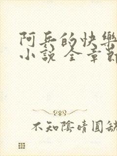 阿兵的快乐生活小说 全章节阅读免费