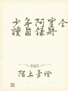 少年阿宾全文阅读目录册
