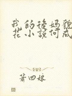 我的后妈貌美如花小说何成在线阅读封面