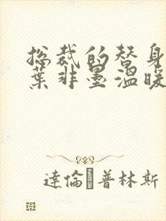 总裁的替身前妻叶非墨温暖