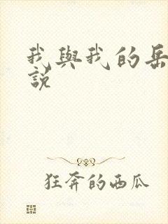 我与我的岳母小说封面