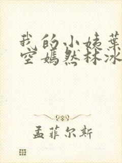 我的小姨叶凡司空嫣然林冰