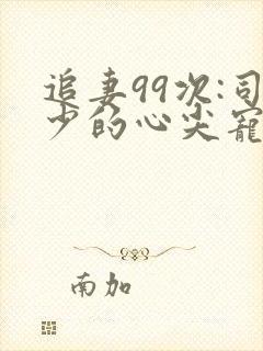 追妻99次:司少的心尖宠