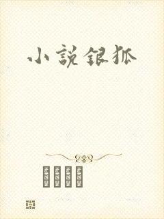 小说银狐封面