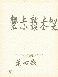 想上就上by迷羊小说全文免费阅读