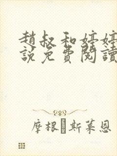 赵叔和婷婷的小说免费阅读封面